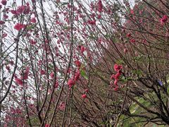 -白水带风景区体育公园