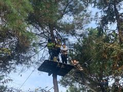 -铁山坪森林公园