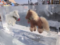 -沈阳奥体冰雪嘉年华