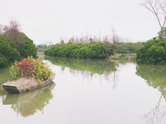 -大湾区中央湿地公园