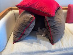 -泓历皇朝酒店(东亭店)