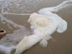 -北戴河东海水浴场