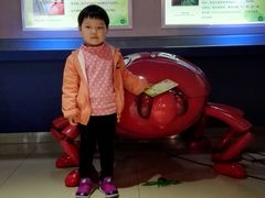 -上海昆虫博物馆