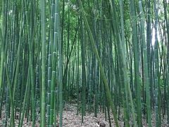 -苏州河梦清园环保主题公园