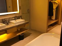 -苏州金鸡湖文博诺富特酒店