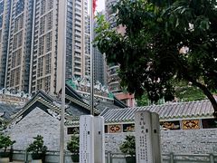 -杨箕村B区