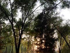 -森林公园(尖草坪区)