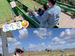 -186彩带河