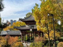 -迎泽公园