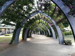 景点-布里斯班南岸公园