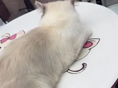 -FAELING PETS美天灵宠物(富力广场店)