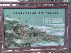 -北京鹫峰国家森林公园