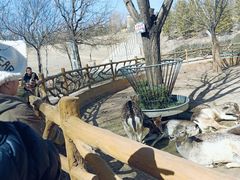 -鄂尔多斯野生动物园