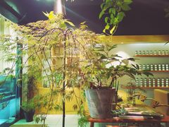 -柴务处·柴犬主题狗咖