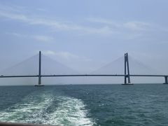 -招商蛇口邮轮母港(观光客运)