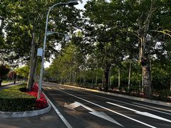 -北坞公园