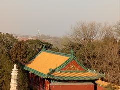 -颐和园