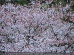 -中国茶叶博物馆(双峰馆区)