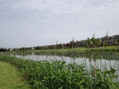 -两河城市森林公园