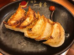 博多一口饺子-博多一幸舍(侨福芳草地购物中心店)