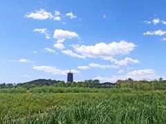 -永定河休闲森林公园