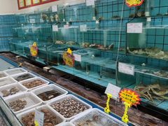 水产区-海岛渔村大酒店(云霄路店)