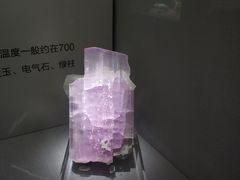 -湖南省地质博物馆