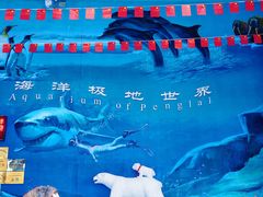 -蓬莱欧乐堡海洋极地世界