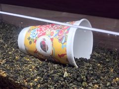 -茶话弄(中贸广场店)