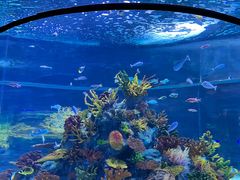 -北海海底世界