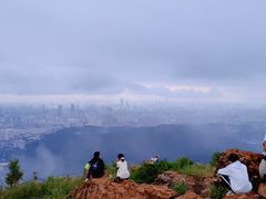 -长虫山生态公园风景林