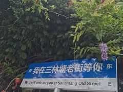 -三林塘老街