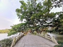 -江心屿景区