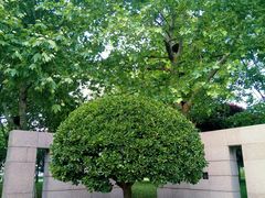 -唐山抗震纪念碑广场