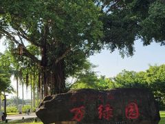-万绿园