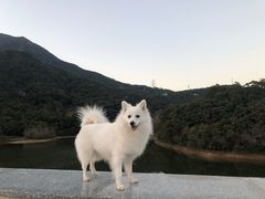 -梧桐山风景名胜区