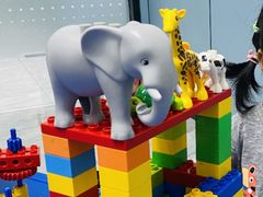 -童程童美·信息学竞赛·机器人编程·少儿编程(五棵松万达校区)