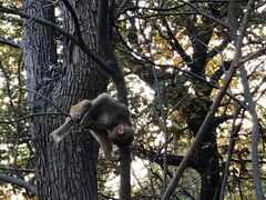 -南京金牛湖风景区