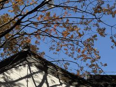 -CHARLIETOWN红茶公司(南京万象天地店)