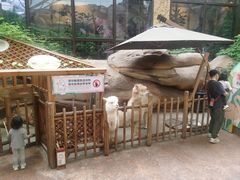 -杭州开元森泊度假乐园