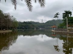 -深圳仙湖植物园