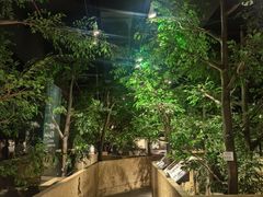 -香市公园-中国沉香文化博物馆