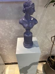 -紫洁俪方（北京）医疗美容