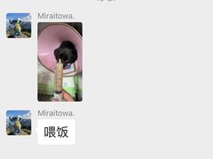 -康成宠物医院24H·CT·核磁共振