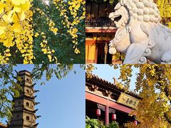 -方山风景区定林寺