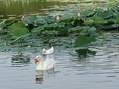 -太阳宫公园