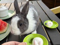 -云尚自助餐厅(佛山南海瞻云酒店)