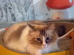 -白兔子密室(长寿路店)