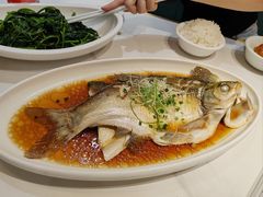 -刘胖子家常菜·蹄花焖藕(中南店)