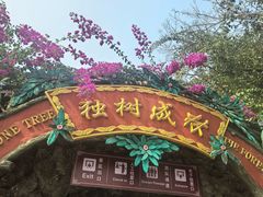 -独树成林